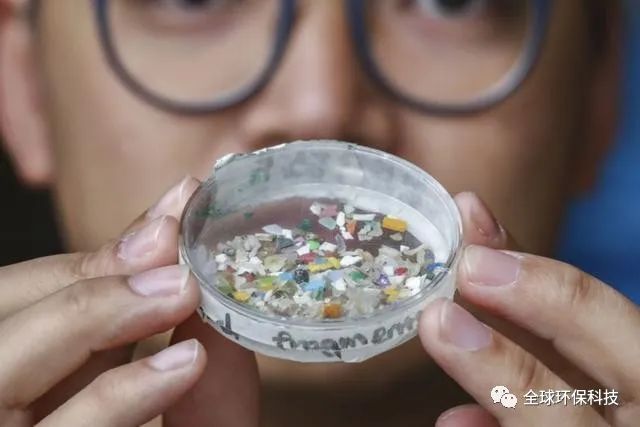 關(guān)于“微塑料”的危害，你了解多少？